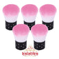 DUSTING BRUSH ( SET OF 5)